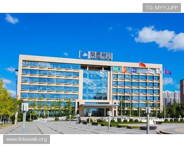 凯发体育集团网址登录遇到问题怎么办？详细解决方案助你顺利进入平台